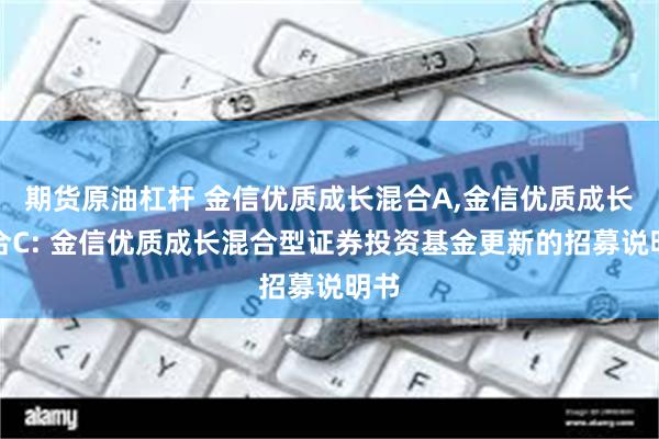 期货原油杠杆 金信优质成长混合A,金信优质成长混合C: 金信优质成长混合型证券投资基金更新的招募说明书