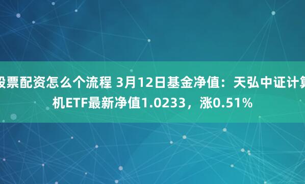 股票配资怎么个流程 3月12日基金净值：天弘中证计算机ETF最新净值1.0233，涨0.51%